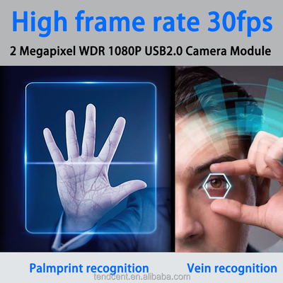 Factory Direct 200W Binocular Camera Module with Palm Vein Recognition USB Dynamic Infrared Global SDK Reset Feature
